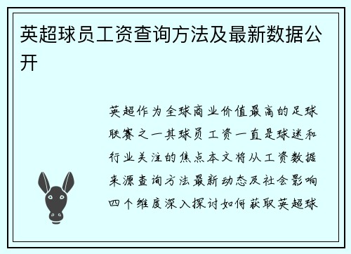 英超球员工资查询方法及最新数据公开