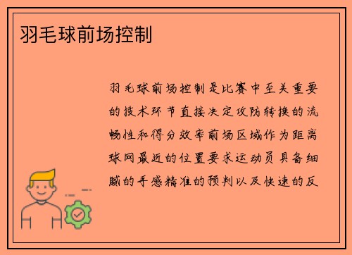 羽毛球前场控制
